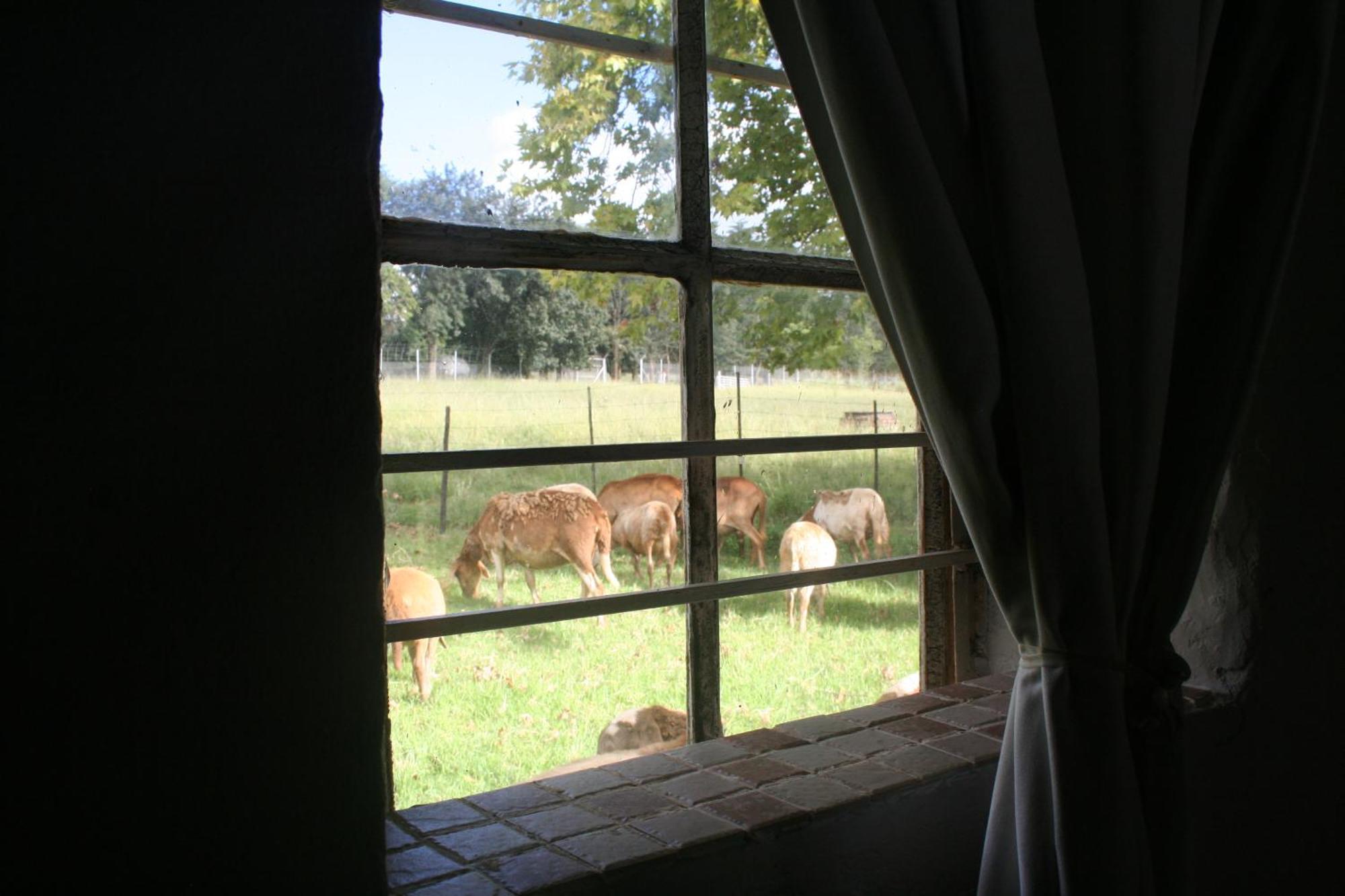 Suikerbosskuur Rondavel & Chalet Amsterdam ภายนอก รูปภาพ