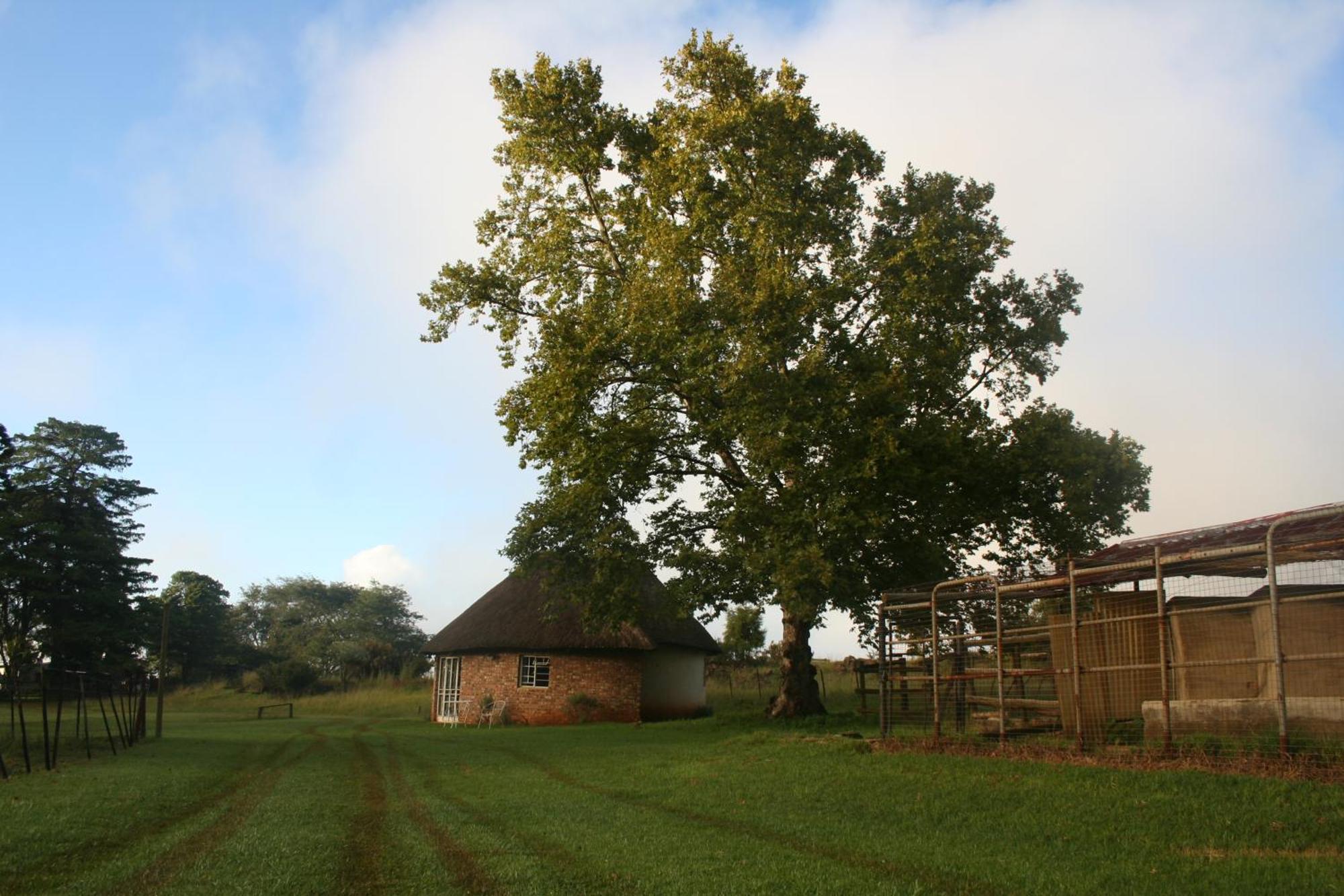 Suikerbosskuur Rondavel & Chalet Amsterdam ภายนอก รูปภาพ